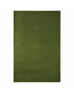 Tapis moderne PALMO vert